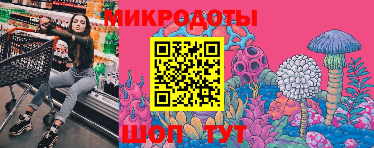 Псилоцибиновые грибы Psilocybe Борисоглебск